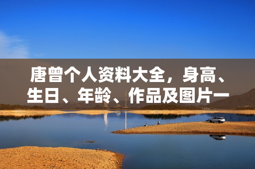 唐曾个人资料大全，身高、生日、年龄、作品及图片一览