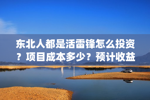 东北人都是活雷锋怎么投资？项目成本多少？预计收益多少？(东北人都是活雷锋 mv)