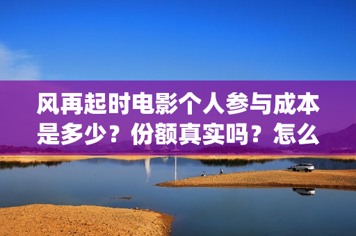 风再起时电影个人参与成本是多少？份额真实吗？怎么投资？(风再起时电影海报)