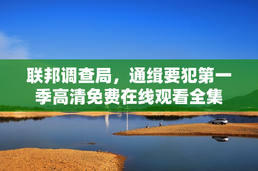 联邦调查局，通缉要犯第一季高清免费在线观看全集