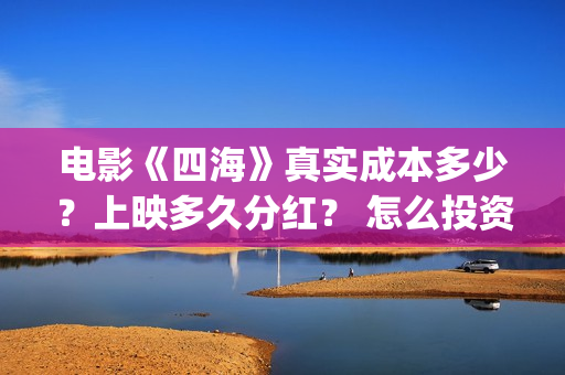 电影《四海》真实成本多少？上映多久分红？ 怎么投资？(电影《四海》真名叫什么)