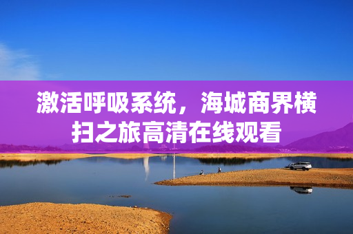 激活呼吸系统，海城商界横扫之旅高清在线观看