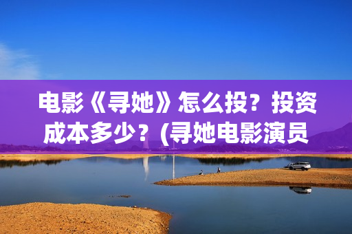 电影《寻她》怎么投？投资成本多少？(寻她电影演员表)