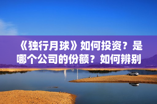 《独行月球》如何投资？是哪个公司的份额？如何辨别？(moonyou-独行月球)