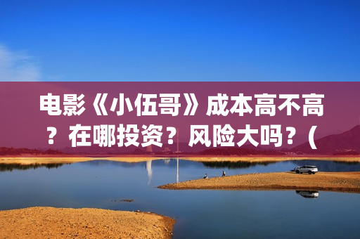 电影《小伍哥》成本高不高？在哪投资？风险大吗？(电影小伍哥出品方是谁)