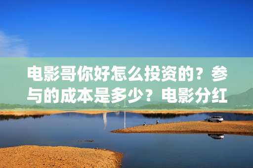 电影哥你好怎么投资的？参与的成本是多少？电影分红快吗？(你好哥哥语音)