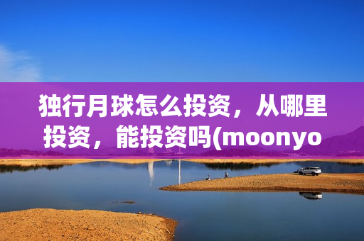 独行月球怎么投资，从哪里投资，能投资吗(moonyou-独行月球)
