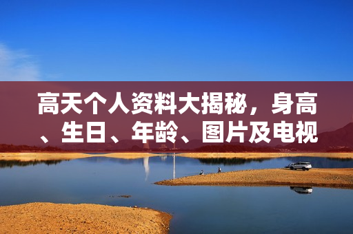高天个人资料大揭秘，身高、生日、年龄、图片及电视剧电影作品全解析