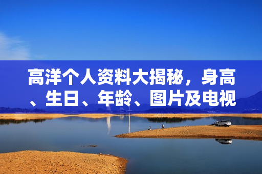 高洋个人资料大揭秘，身高、生日、年龄、图片及电视剧电影作品全解析
