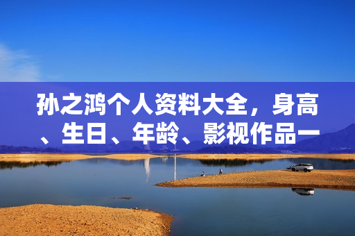 孙之鸿个人资料大全，身高、生日、年龄、影视作品一览，图片呈现