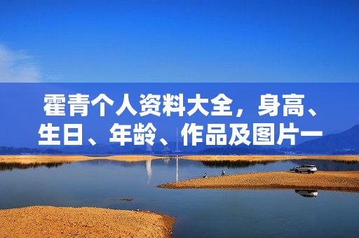 霍青个人资料大全，身高、生日、年龄、作品及图片一览
