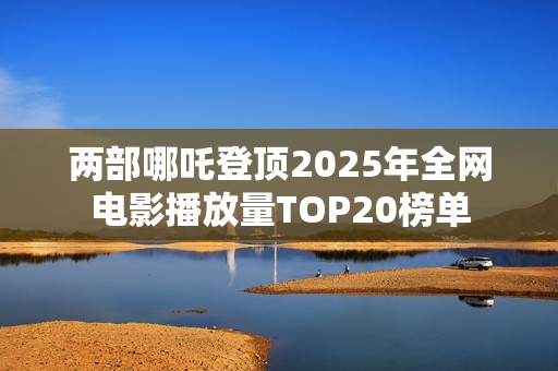 两部哪吒登顶2025年全网电影播放量TOP20榜单