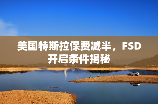 美国特斯拉保费减半，FSD开启条件揭秘