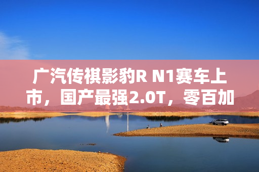 广汽传祺影豹R N1赛车上市，国产最强2.0T，零百加速仅需5.7秒，售价9.8万起