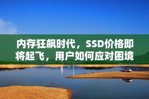 内存狂飙时代，SSD价格即将起飞，用户如何应对困境？
