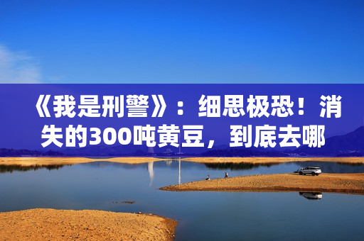 《我是刑警》：细思极恐！消失的300吨黄豆，到底去哪儿了？