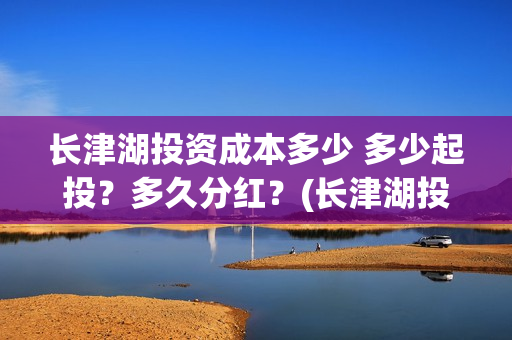 长津湖投资成本多少 多少起投？多久分红？(长津湖投资占比)