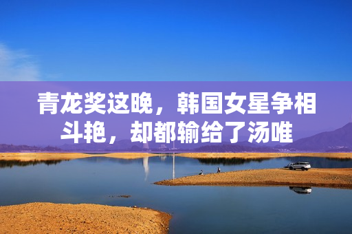 青龙奖这晚，韩国女星争相斗艳，却都输给了汤唯