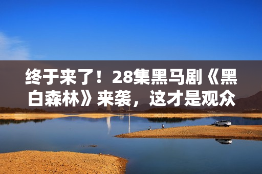 终于来了！28集黑马剧《黑白森林》来袭，这才是观众爱看的刑侦剧