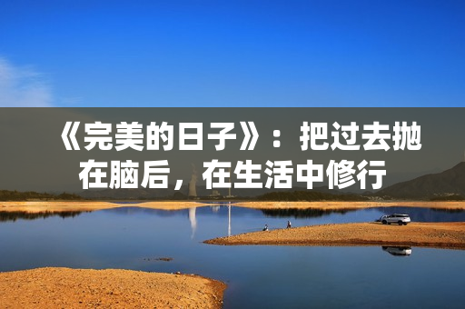 《完美的日子》:把过去抛在脑后,在生活中修行 《完美的日子》:把过去抛在脑后,在生活中修行