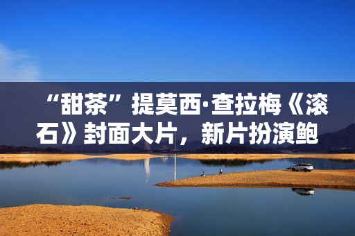 “甜茶”提莫西·查拉梅《滚石》封面大片，新片扮演鲍勃·迪伦