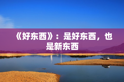 《好东西》：是好东西，也是新东西