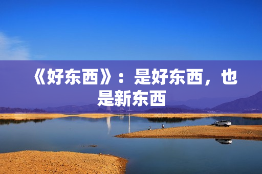 《好东西》：是好东西，也是新东西