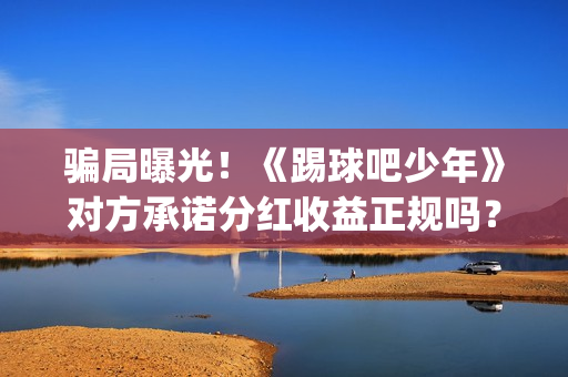 骗局曝光!《踢球吧少年》对方承诺分红收益正规吗?交钱进去被骗怎么办?——抵制耐克(网络上说的踢踢什么意思) 骗局曝光!《踢球吧少年》对方承诺分红收益正规吗?交钱进去被骗怎么办?——抵制耐克(网络上说的踢踢什么意思)