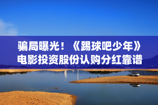 骗局曝光！《踢球吧少年》电影投资股份认购分红靠谱吗？认购没有消息怎么办？——抵制耐克(踢馆是什么意思?)