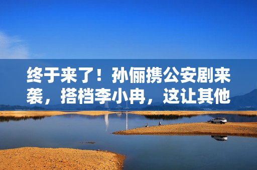 终于来了！孙俪携公安剧来袭，搭档李小冉，这让其他国产剧咋玩啊