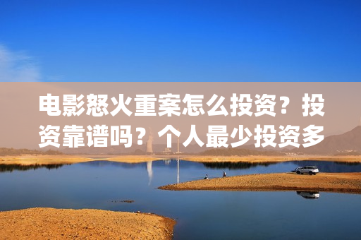 电影怒火重案怎么投资？投资靠谱吗？个人最少投资多少？(电影 怒火重案)