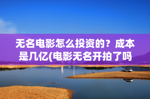 无名电影怎么投资的？成本是几亿(电影无名开拍了吗)