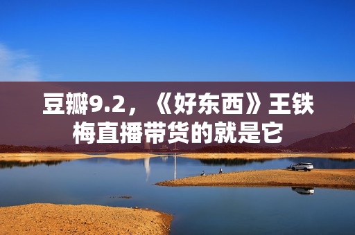 豆瓣9.2，《好东西》王铁梅直播带货的就是它