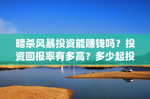 暗杀风暴投资能赚钱吗？投资回报率有多高？多少起投(暗杀风暴百科)