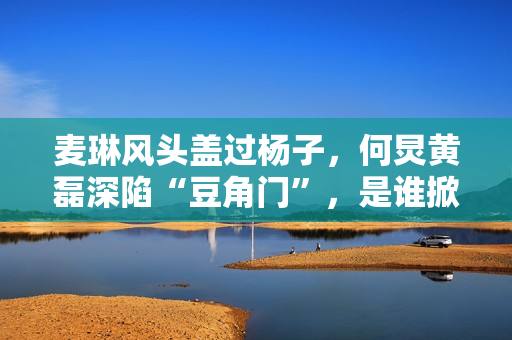 麦琳风头盖过杨子,何炅黄磊深陷“豆角门”,是谁掀起全民骂战? 麦琳风头盖过杨子,何炅黄磊深陷“豆角门”,是谁掀起全民骂战?