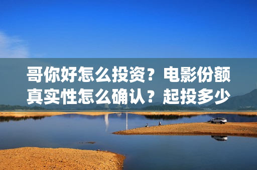 哥你好怎么投资？电影份额真实性怎么确认？起投多少？(你好哥哥)