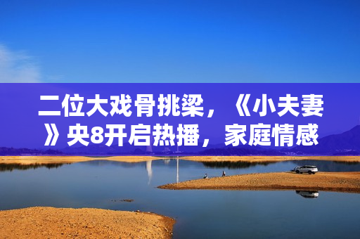 二位大戏骨挑梁，《小夫妻》央8开启热播，家庭情感剧紧追不停。