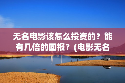无名电影该怎么投资的？能有几倍的回报？(电影无名剧情介绍)