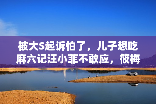 被大S起诉怕了,儿子想吃麻六记汪小菲不敢应,筱梅一招化解尴尬 被大S起诉怕了,儿子想吃麻六记汪小菲不敢应,筱梅一招化解尴尬