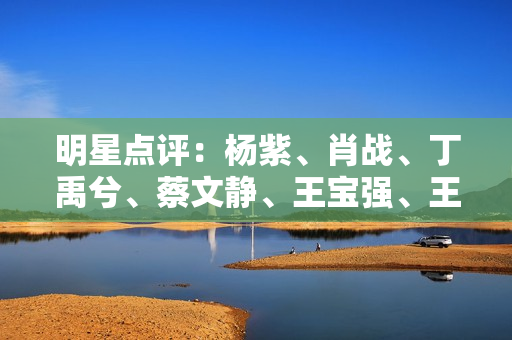 明星点评：杨紫、肖战、丁禹兮、蔡文静、王宝强、王鹤棣