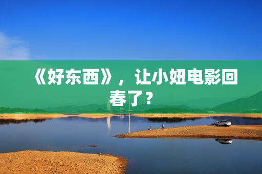 《好东西》,让小妞电影回春了? 《好东西》,让小妞电影回春了?