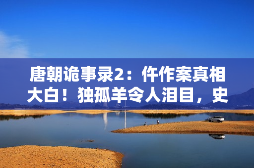 唐朝诡事录2：仵作案真相大白！独孤羊令人泪目，史可演活女仵作