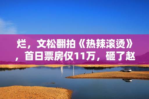 烂，文松翻拍《热辣滚烫》，首日票房仅11万，砸了赵本山的招牌