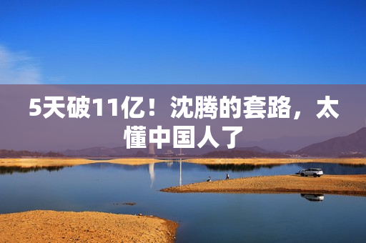 5天破11亿！沈腾的套路，太懂中国人了