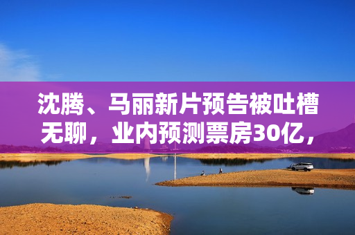 沈腾、马丽新片预告被吐槽无聊，业内预测票房30亿，网友不看好
