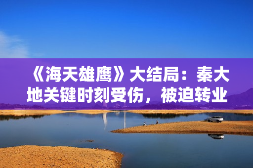 《海天雄鹰》大结局：秦大地关键时刻受伤，被迫转业，却成最圆满