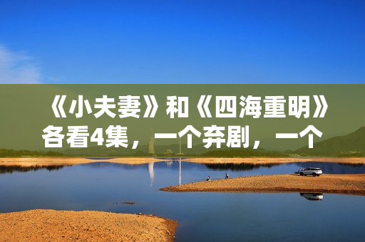 《小夫妻》和《四海重明》各看4集，一个弃剧，一个追到底