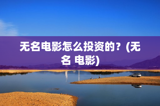 无名电影怎么投资的？(无名 电影)