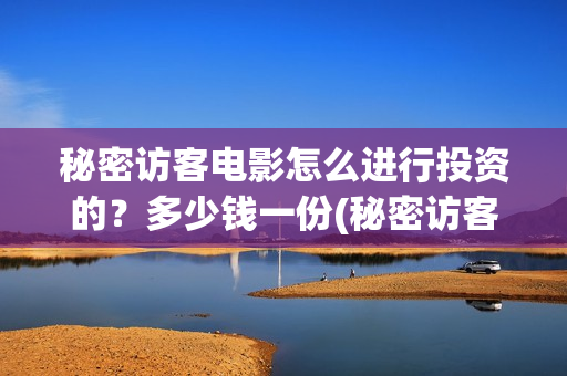 秘密访客电影怎么进行投资的？多少钱一份(秘密访客 hd)