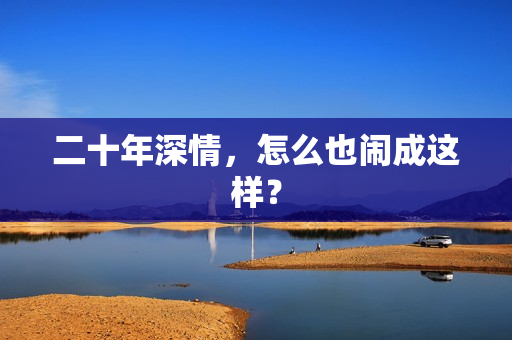 二十年深情，怎么也闹成这样？